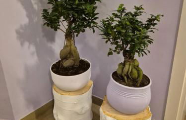 Il sogno degli angeli - Foto 31