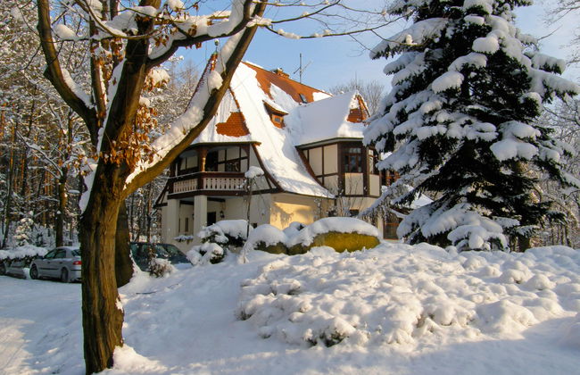 Lawendowe Wzgórze - Foto 2