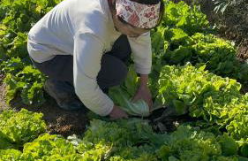 Villa Venti - Craft Wine & Hospitality - Foto 77