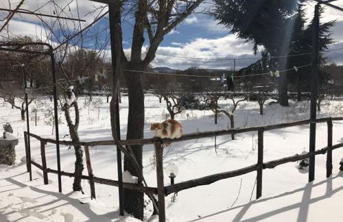 Etna, salvia e rosmarino - Foto 42