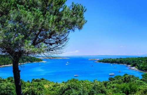 Villa Sarah, mediterranean elegance minutes from the beach - Photo 10