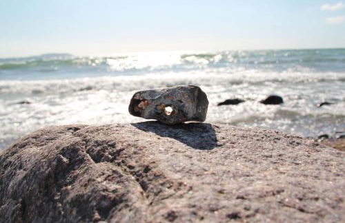 Ferienhaus-Wiesengrund - Photo 34