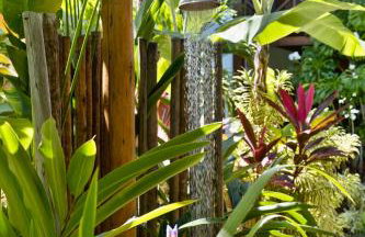 Aldeia dos Corais - Taipu de Fora - Foto 20