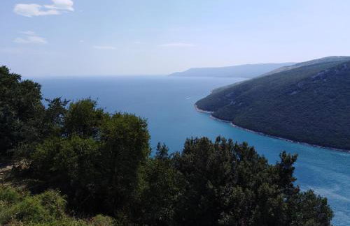 Holiday Home Magdalena - Photo 16