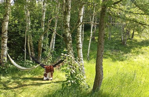 Folwark Noclegowy w Nowej Morawie - Tomaszówka na wys 600 m - Foto 20