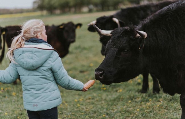 Hof Faasel Bauernhofurlaub an der Ostsee - Foto 33