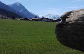 Ferienwohnung Landhaus Martin - Foto 33