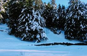 le Ty Cosy Montagnard la Mongie - Foto 18