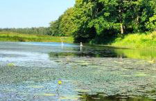 Siedlisko Na Szlaku Odry - Foto 21