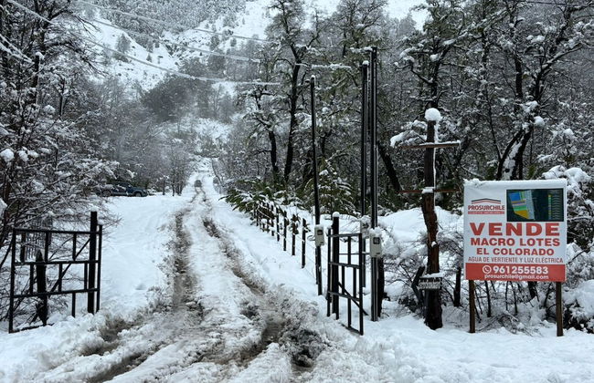 Rincon del Bosque - Foto 21