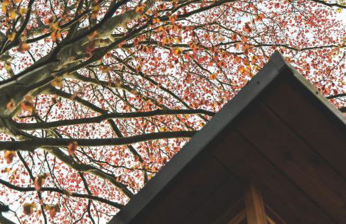 The Lodge Burniston - Foto 53