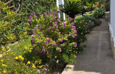 Villa Clara, 8 pers, JAVEA, Costa Blanca, closes to beaches - Foto 45