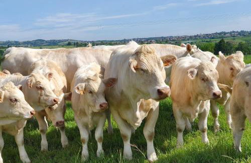 Gîte Les Arches - Foto 45