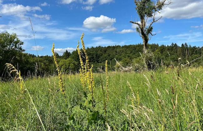 4 Person Holiday Home in Ans By - Foto 12