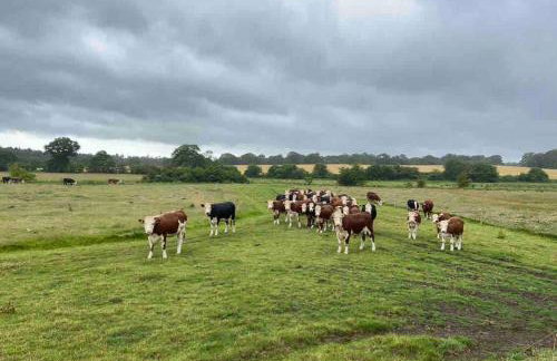 Luxury barn with pool table near Southwold - Foto 30