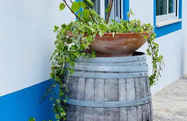 Monte do Lago, Pegões - Foto 36