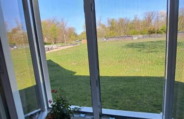 Ferienwohnung Müller - Foto 29