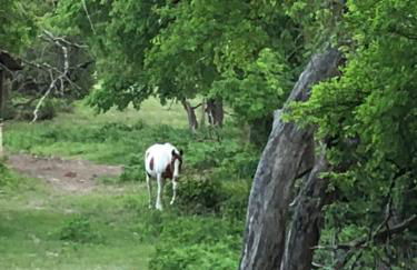 Perfect Country-Side Get-Away - Photo 32