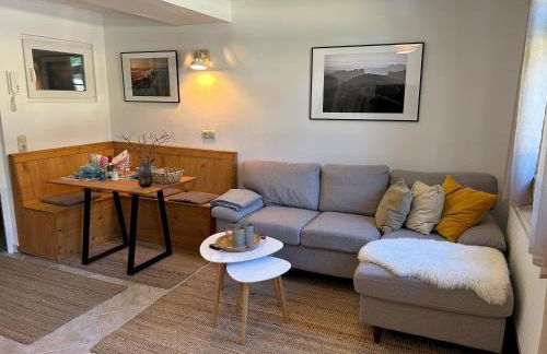 FeWo Ostrau, neues Bad, neue Küche, zentral, Sandstein-Ferien, Terrasse - Foto 31