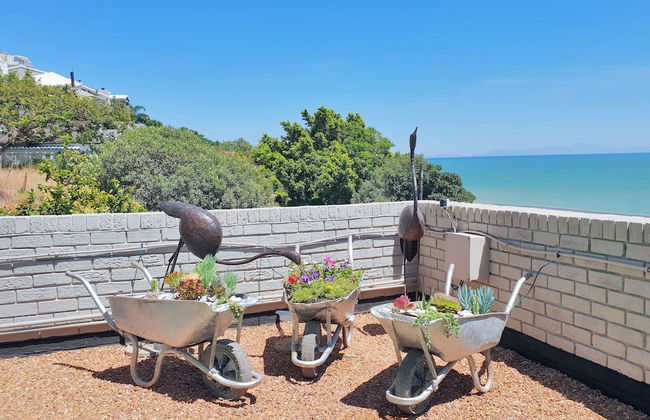 Linga Longa - Foto 4