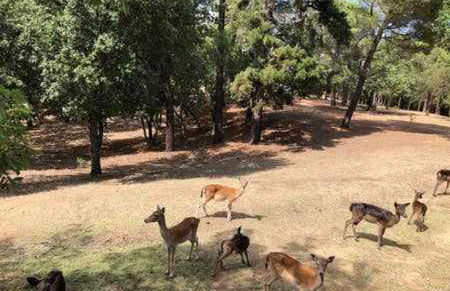 Casa Bellavista con piscina en Caldes Costa Brava - Foto 126