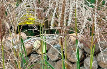 Szumiące Trawy w Borach Tucholskich-Nowa Sauna - Foto 54