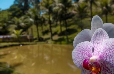 Sítio Bosque das Palmeiras - Foto 4