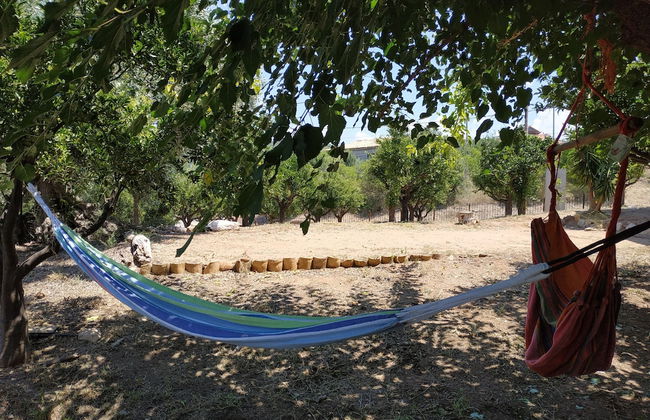 Six-bedroom House With Terrace Ionian Sea View - Photo 15