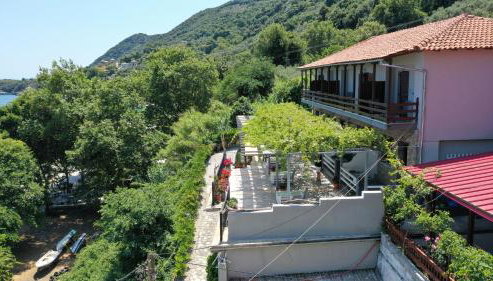 Ammos papanero - Foto 3