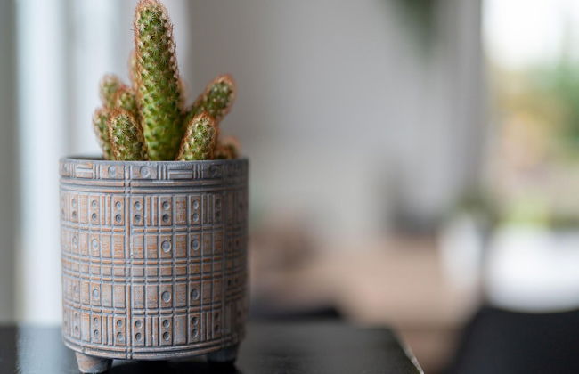 Holiday Home in Zeeland Near Lake - Foto 47