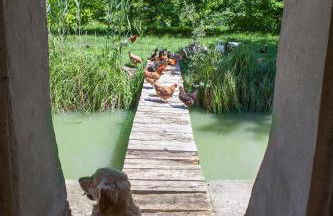 Corte Mainolda - Foto 59