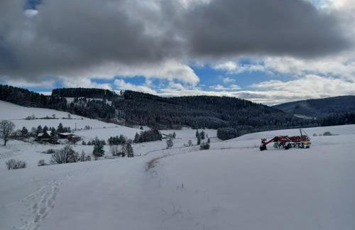 Schwarzwaldblick - Foto 6