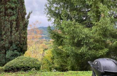 Kandelblick - Foto 37