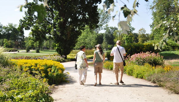 Visita guidata del Palazzo di Sissi - Foto 5