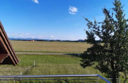 In den Wiesen - Foto 9