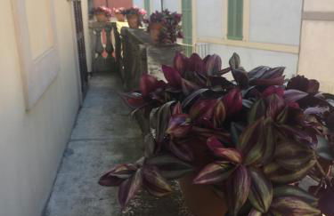 Appartamento Via G Mameli 94 - Photo 58