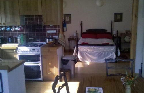 Taigh Sona easy access apartment with double bed - Foto 5