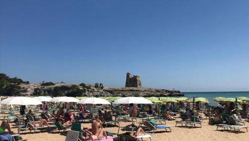 Residence Jolly Peschici - Photo 3, sunbed