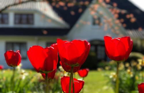 Landhaus Haack - Foto 77