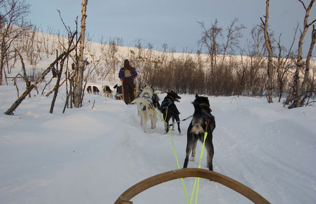 Nuorgam Holiday Village - Foto 39