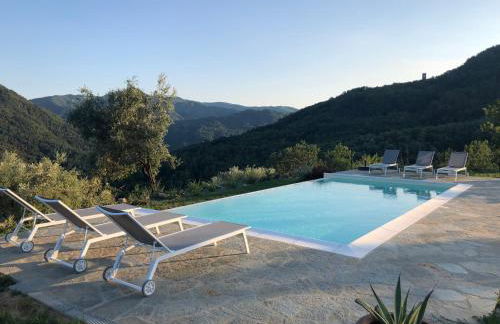 360 views, private infinity pool, Pisa, Lucca, Florence, large garden - Foto 55