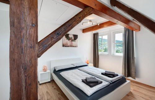 Vogtshaus de Luxe - Foto 12