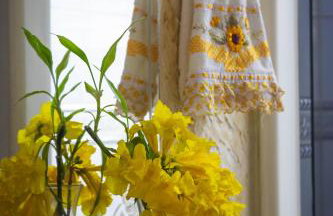 Recanto dos Passaros - Wifi Garagem Gourmet - Foto 41