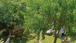 Cantinho da Saudade - Foto 5, Garden, Garden view