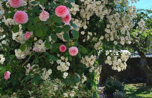 Pretty Cotswold Cottage with garden near Bibury - Foto 34