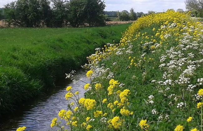 Pear Tree Cottages - Foto 26