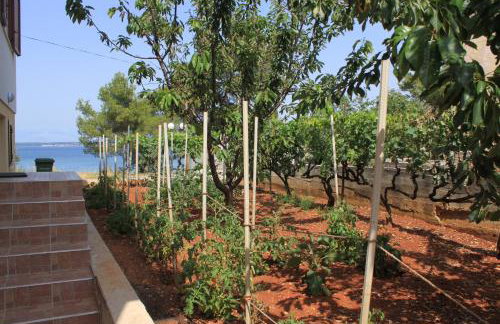 Apartments by the sea Ugljan - 8257 - Foto 7