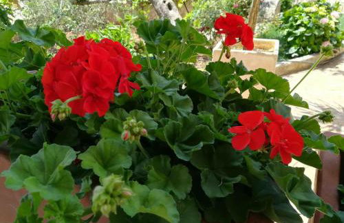 Residenza Aurora - Foto 97