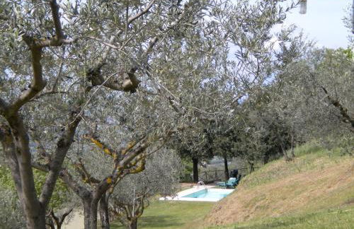 Il Poggio Delle Ginestre - Foto 67