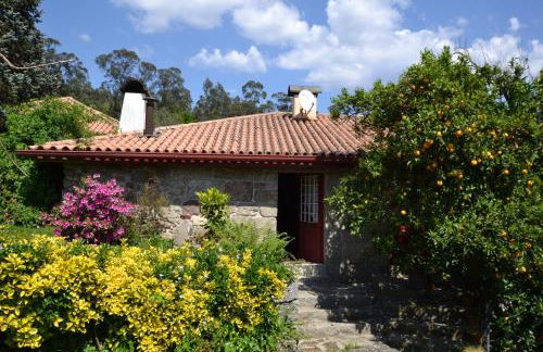 Quinta De Cima De Eiriz - Foto 23